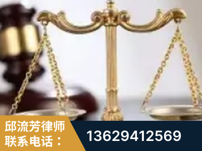 陆丰-委托诉讼代理人出庭